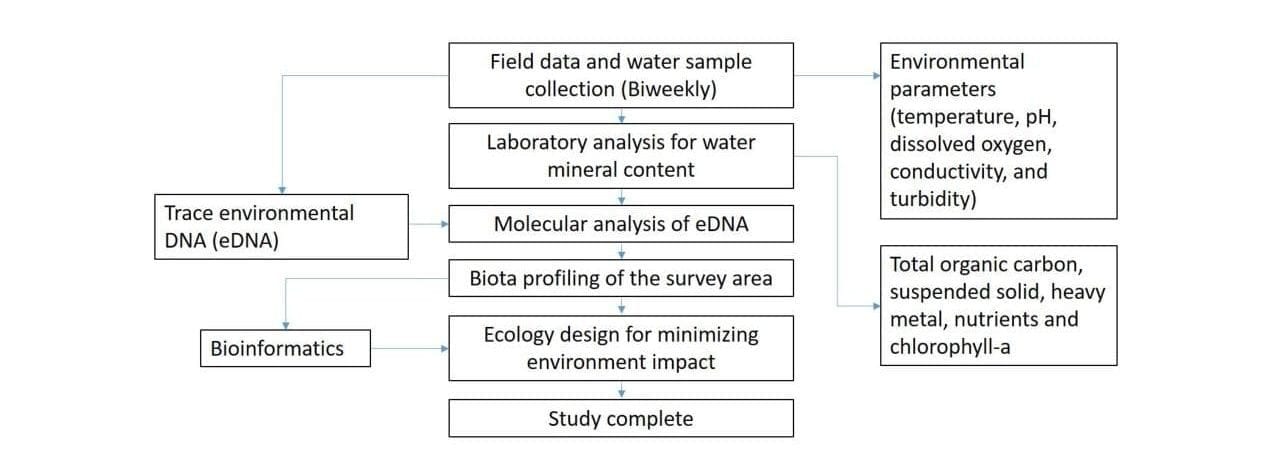 Flowchart Project 4